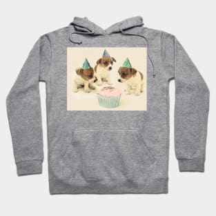 Vintage Puppy Birthday Card Hoodie